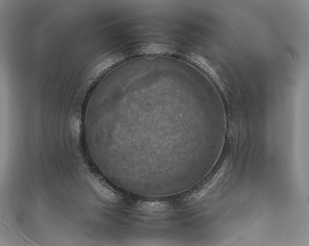 X0000111860063200907231500