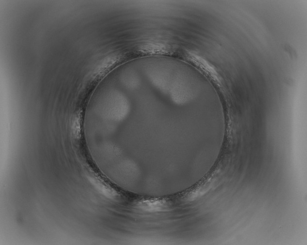 X0000111860065200907231500
