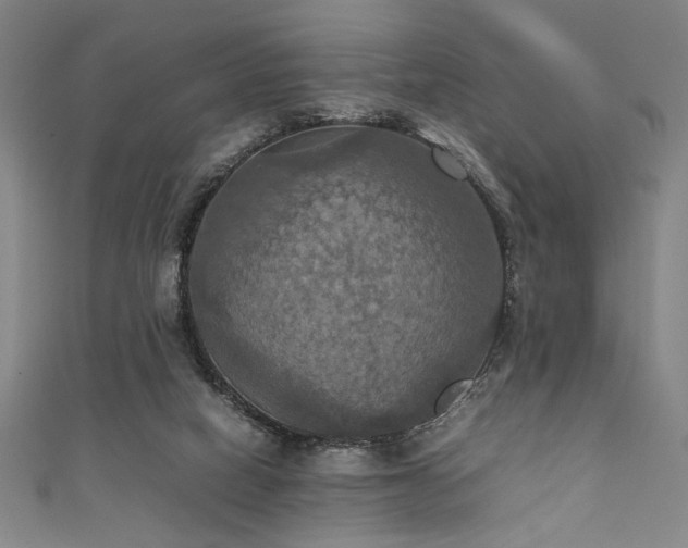X0000111860066200907231500