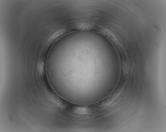 X0000111860071200907231500