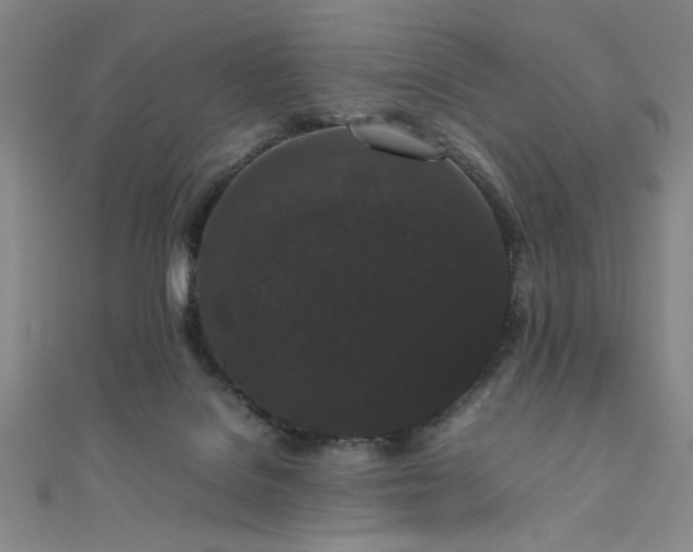 X0000111860076200907231500