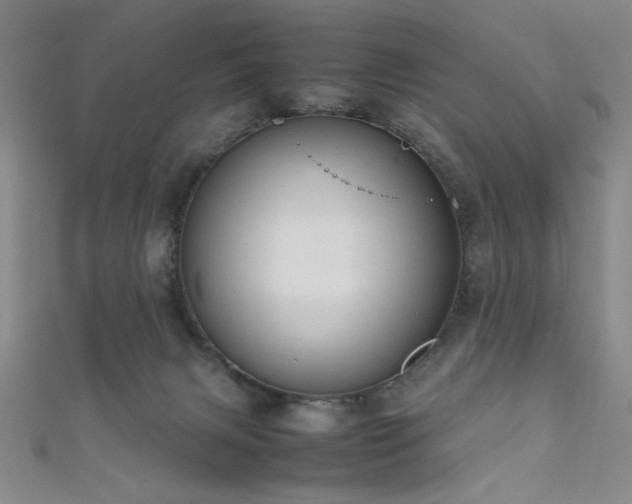 X0000111860079200907231500