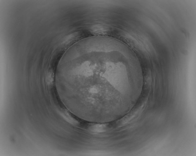 X0000111860081200907231500