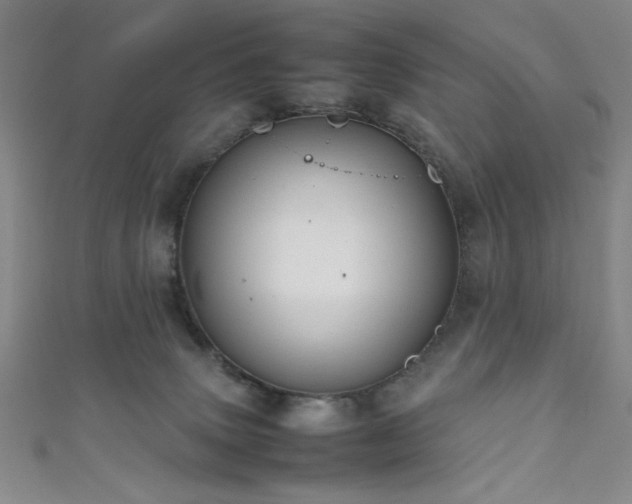 X0000111860083200907231500