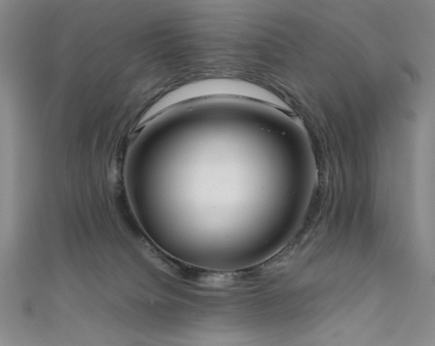 X0000111860084200907231500