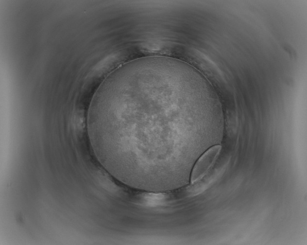 X0000111860085200907231500