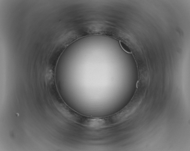 X0000111860087200907231500