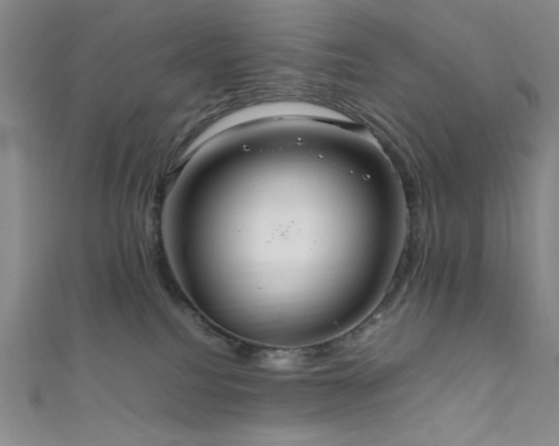 X0000111860088200907231501