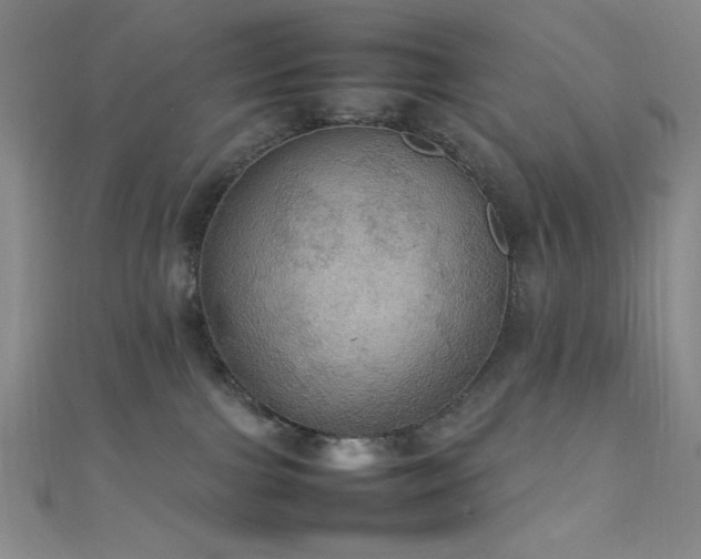 X0000111860091200907231501