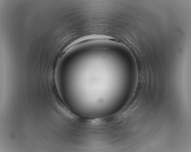 X0000111860092200907231501