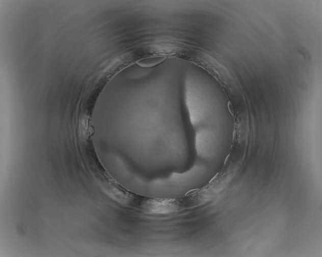 X0000111860093200907231501