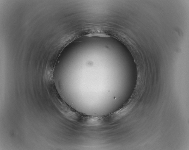X0000111860096200907231501