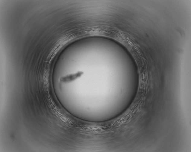 X0000111860098200907231500