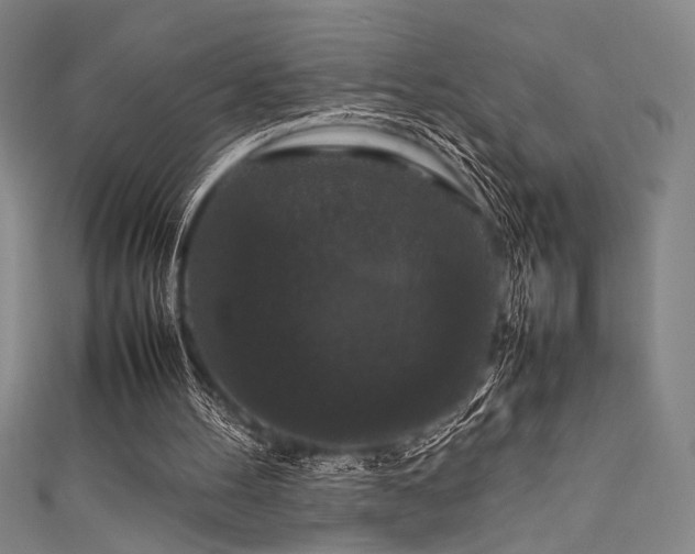 X0000111860100200907231500