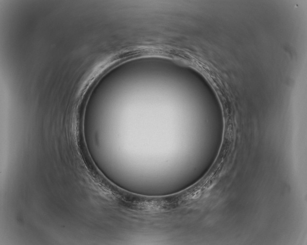 X0000111860103200907231500