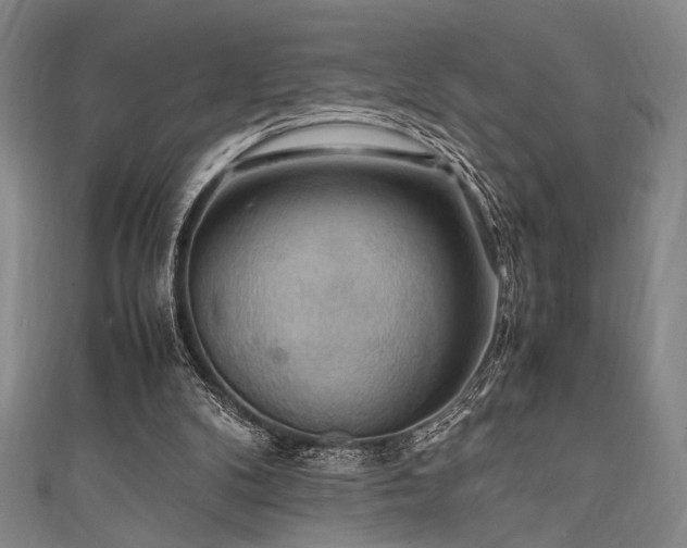 X0000111860104200907231500