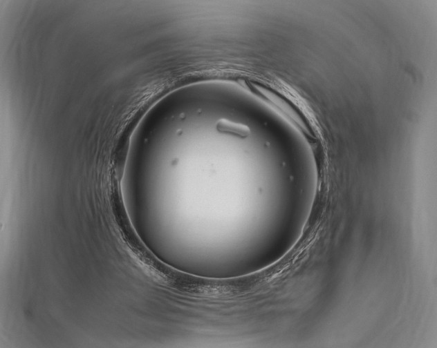 X0000111860105200907231500