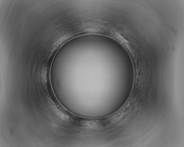 X0000111860106200907231500
