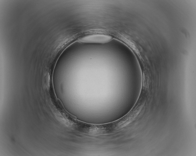 X0000111860109200907231500