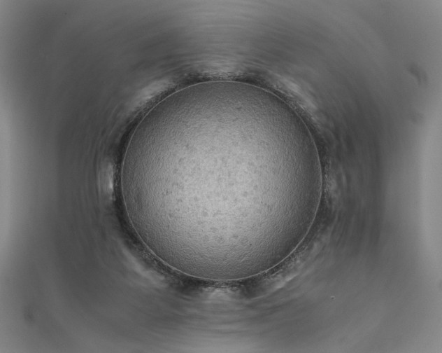 X0000111860115200907231500