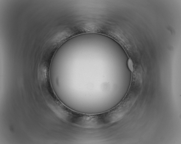 X0000111860117200907231500