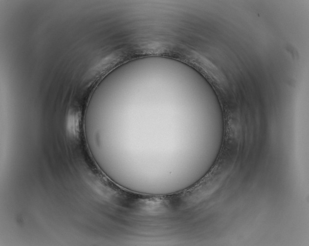 X0000111860118200907231500