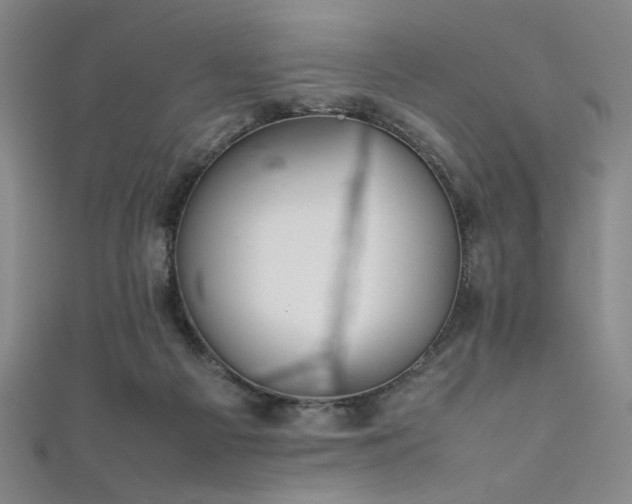 X0000111860121200907231500