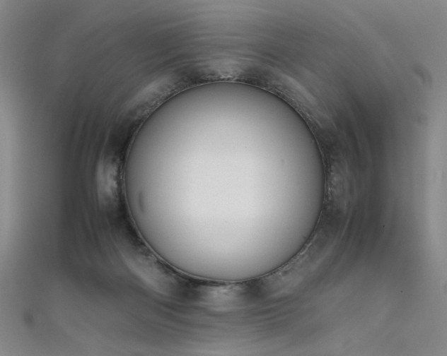 X0000111860122200907231500
