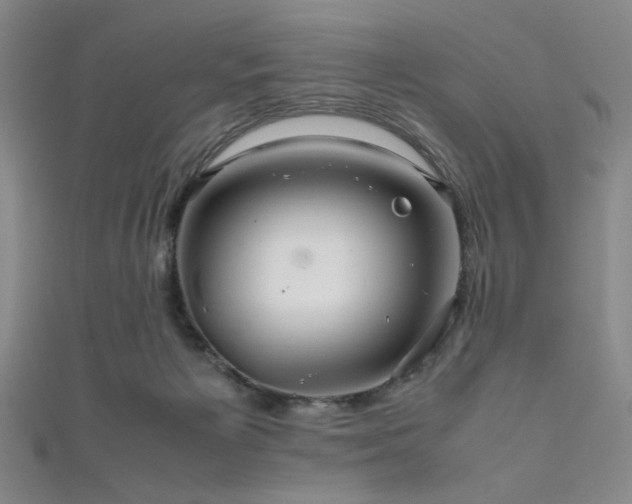X0000111860125200907231500