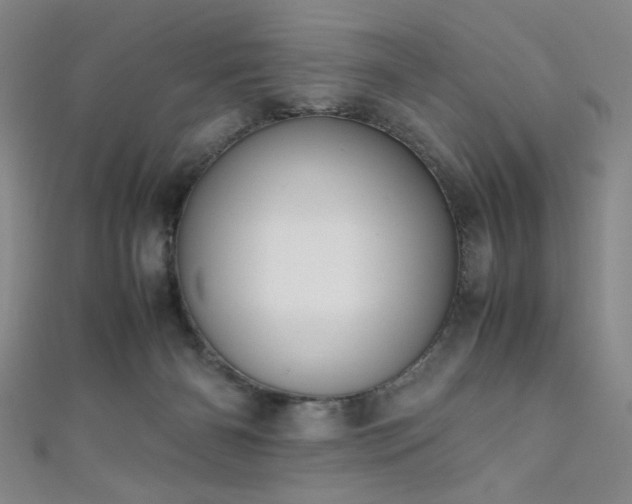 X0000111860126200907231500