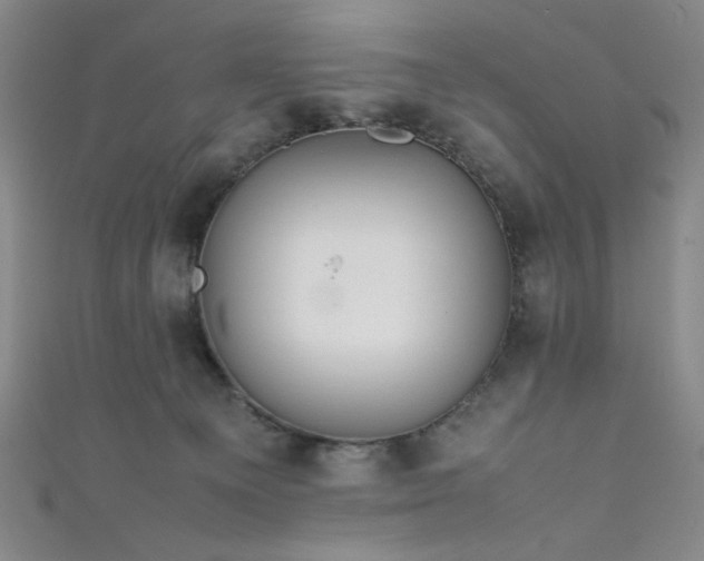 X0000111860129200907231500