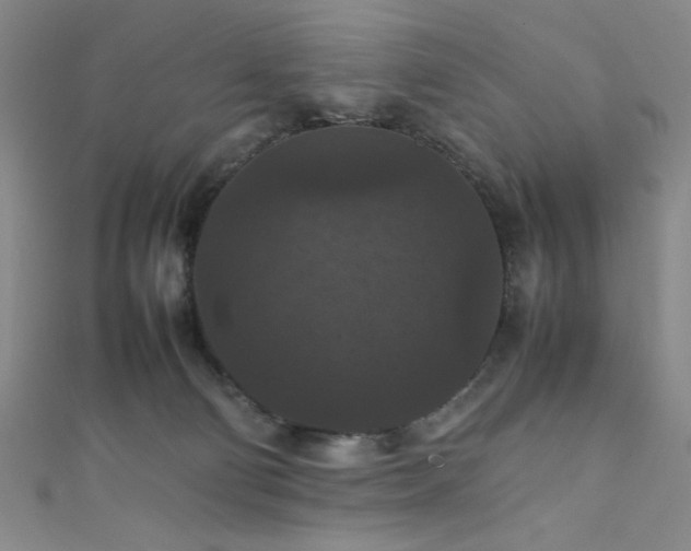 X0000111860130200907231500