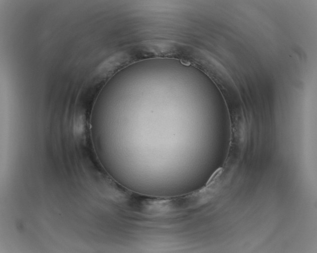 X0000111860132200907231500
