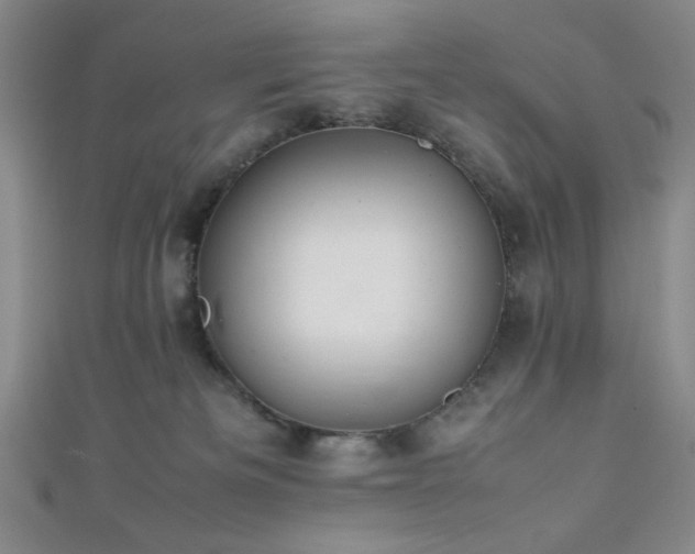 X0000111860133200907231500