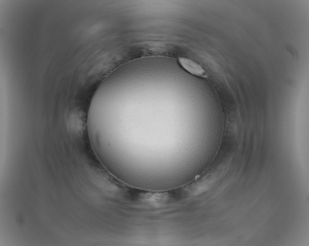 X0000111860135200907231459