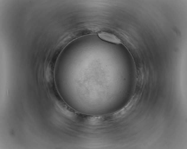 X0000111860136200907231459