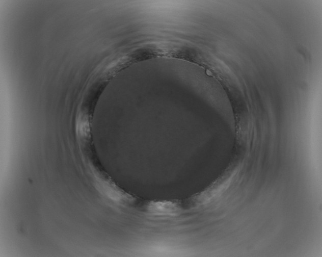X0000111860137200907231459