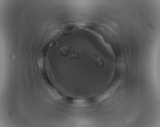 X0000111860139200907231459