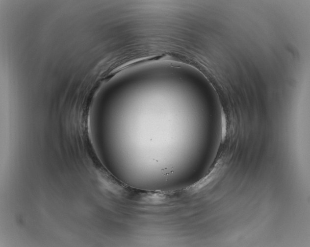X0000111860140200907231459