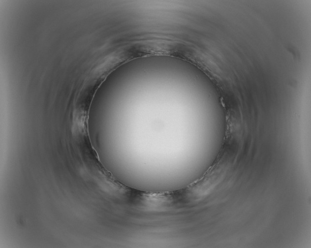 X0000111860141200907231459