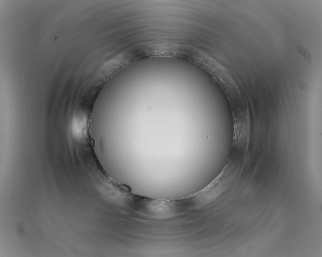 X0000111860142200907231459