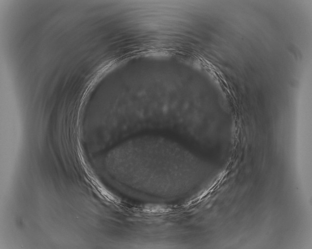 X0000111860145200907231459