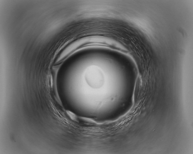 X0000111860146200907231459