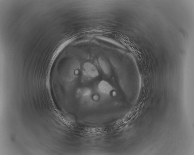 X0000111860147200907231459