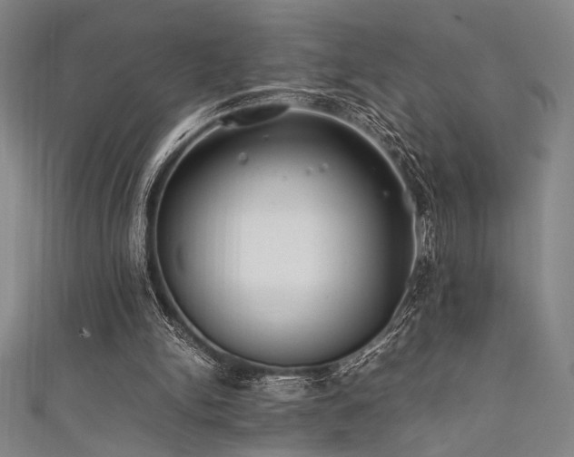 X0000111860150200907231459