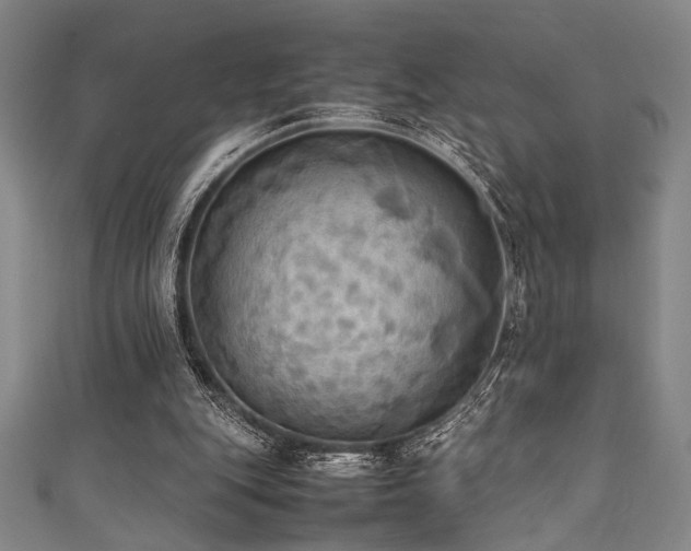 X0000111860151200907231459
