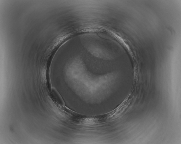 X0000111860154200907231459