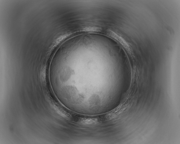 X0000111860155200907231459