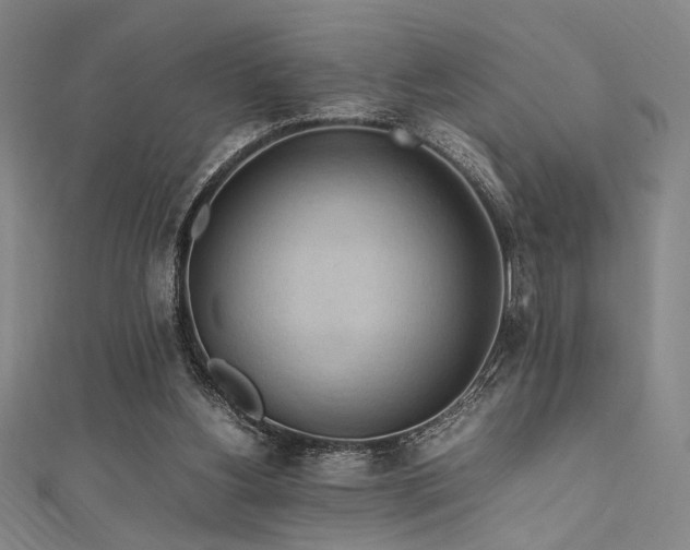 X0000111860156200907231459
