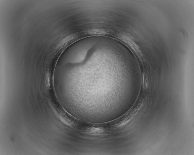 X0000111860157200907231459